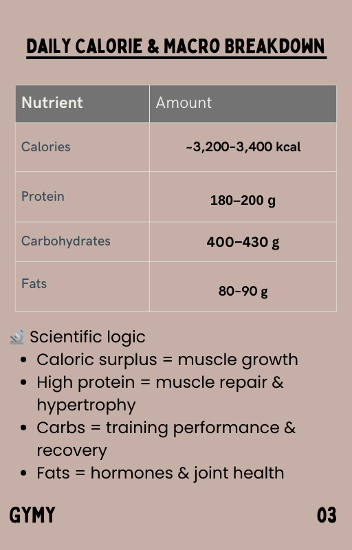 Smart Bulk Program - GYMY