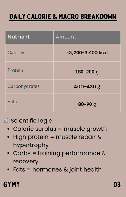 Smart Bulk Program - GYMY